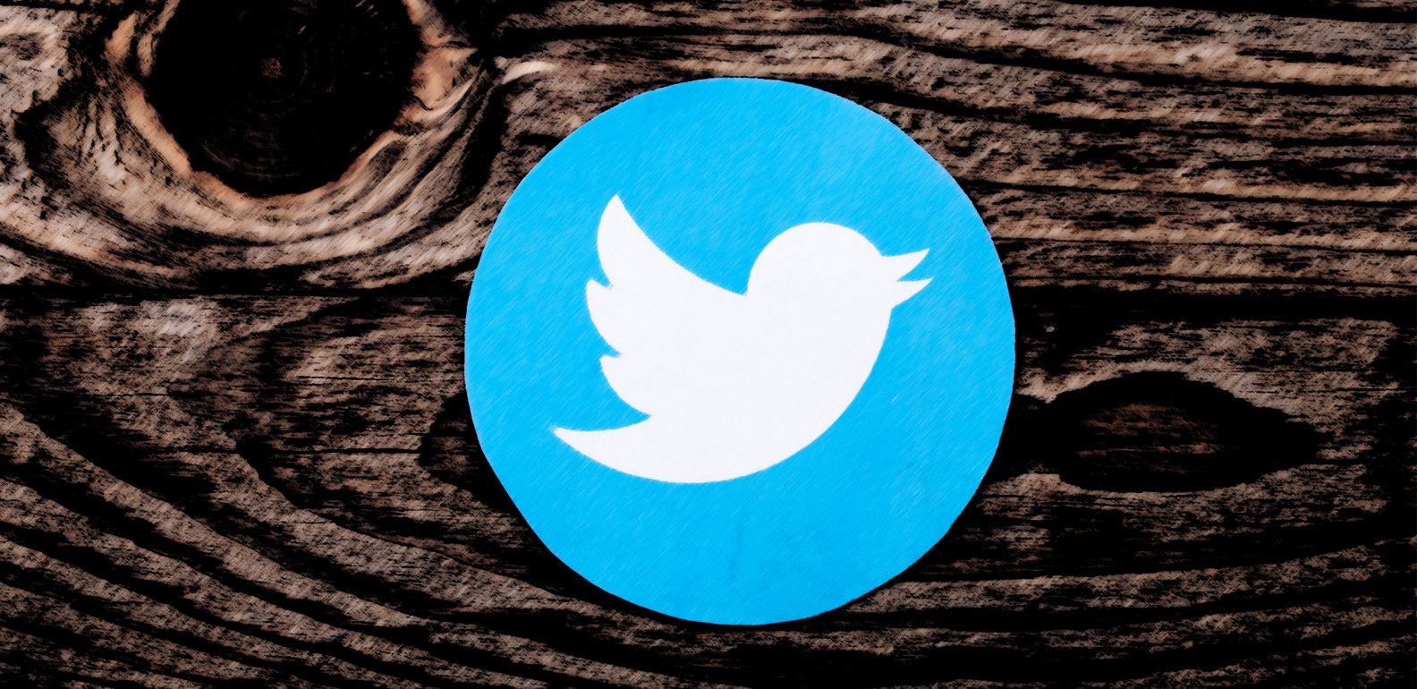 Araştırmalar, Türkiye’deki Twitter Trendlerinin Yarısının Sahte Olduğunu Ortaya Çıkardı