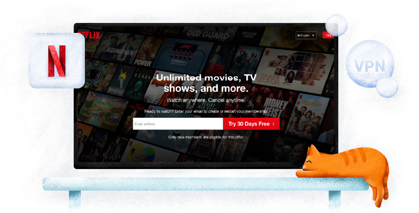 Netflix streaming service