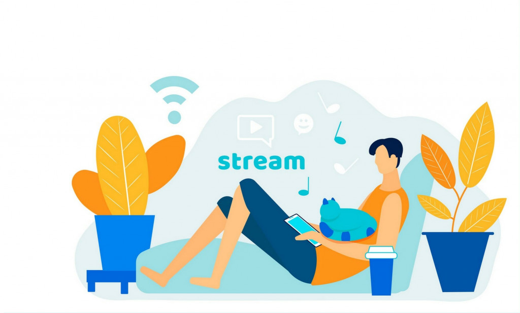 There are over 40 streaming services in India