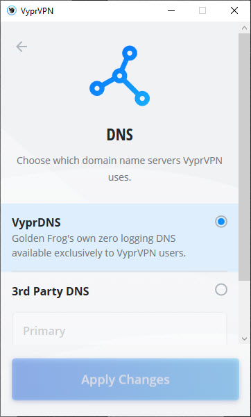 VyprVPN DNS options